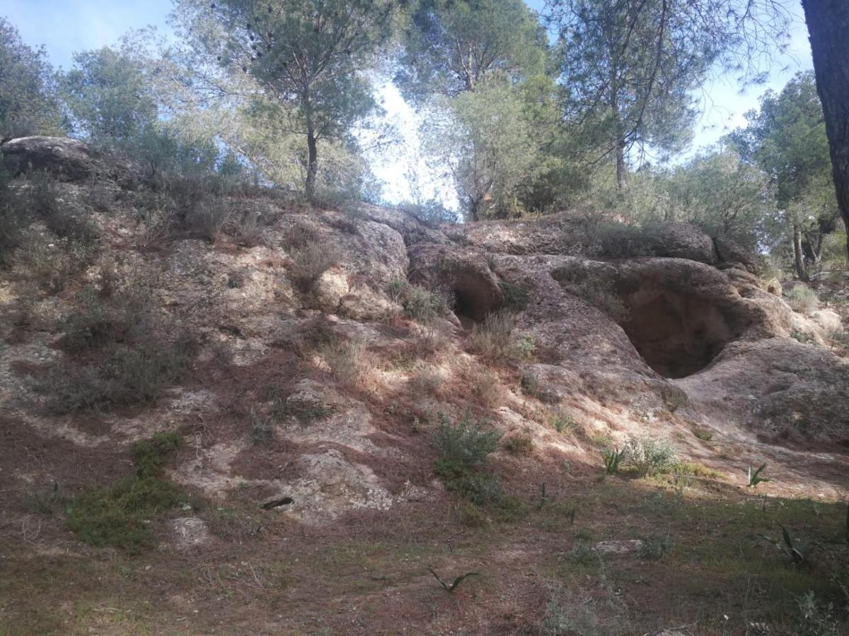 Alojamiento Rural El Paraiso Del Chorro Exteriér fotografie