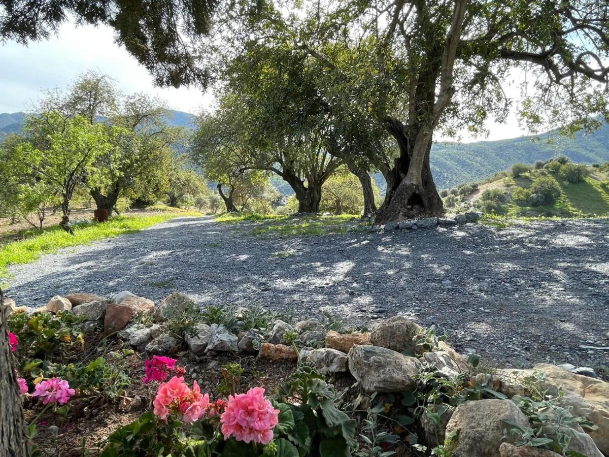 Alojamiento Rural El Paraiso Del Chorro Exteriér fotografie